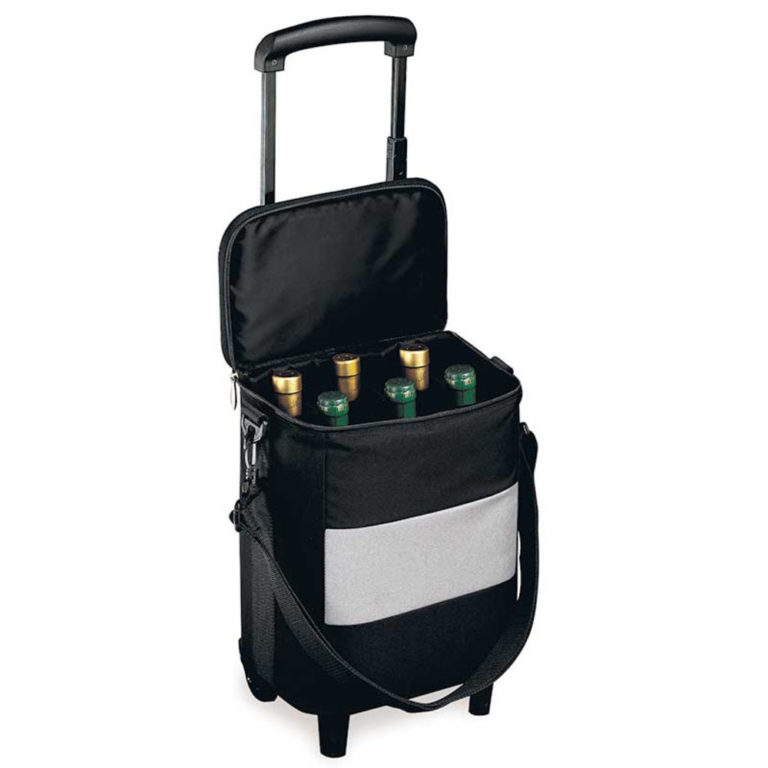 6 bottle wine travel case